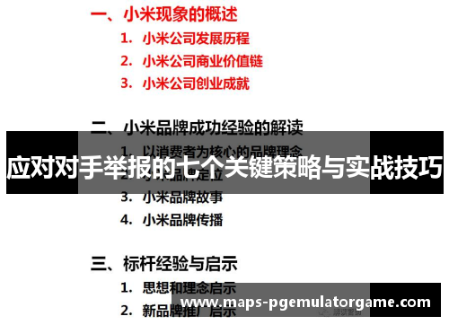 应对对手举报的七个关键策略与实战技巧