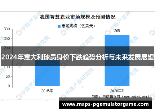 2024年意大利球员身价下跌趋势分析与未来发展展望