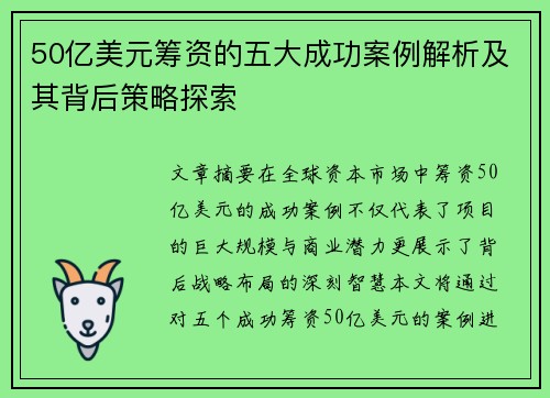 50亿美元筹资的五大成功案例解析及其背后策略探索