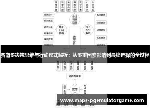 费南多决策思维与行动模式解析：从多重因素影响到最终选择的全过程