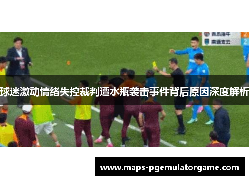 球迷激动情绪失控裁判遭水瓶袭击事件背后原因深度解析
