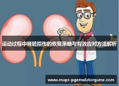 运动过程中肾脏损伤的恢复策略与有效应对方法解析