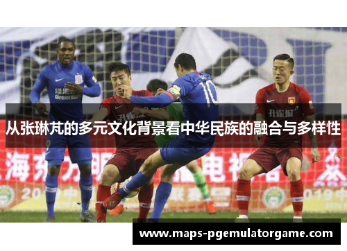 从张琳芃的多元文化背景看中华民族的融合与多样性