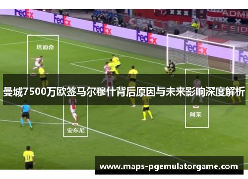 曼城7500万欧签马尔穆什背后原因与未来影响深度解析