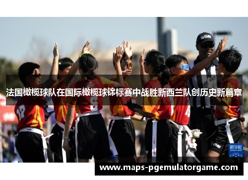 法国橄榄球队在国际橄榄球锦标赛中战胜新西兰队创历史新篇章